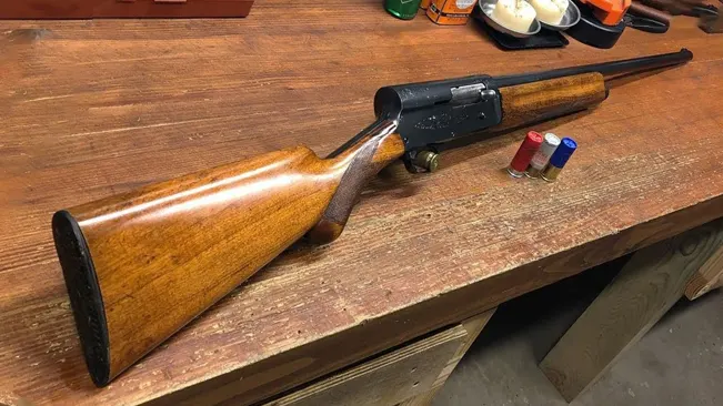 Browning A5 Hunter shotgun lying on a wooden surface with shotgun shells nearby