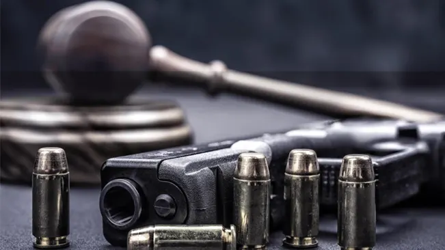 an image of law and guns