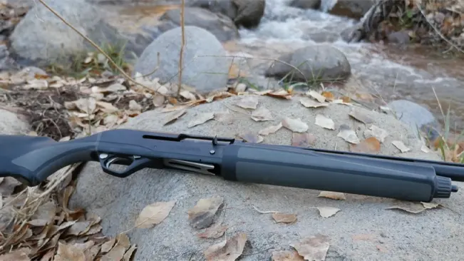 Side view of a shotgun resting on a rock amidst fallen leaves