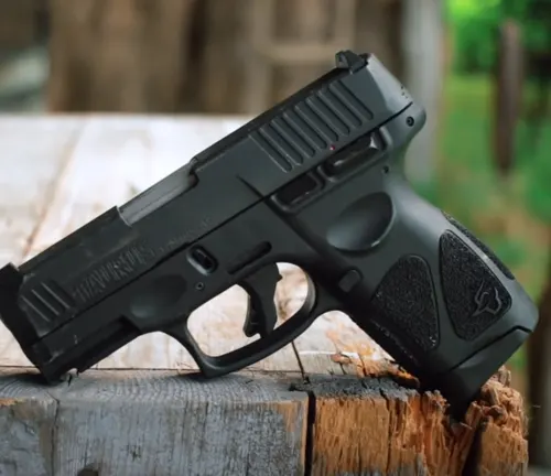 A Taurus G3C pistol is propped upright on a chopped wooden log, showcasing its profile with a focus on the slide and textured grip, set against a blurred natural background.