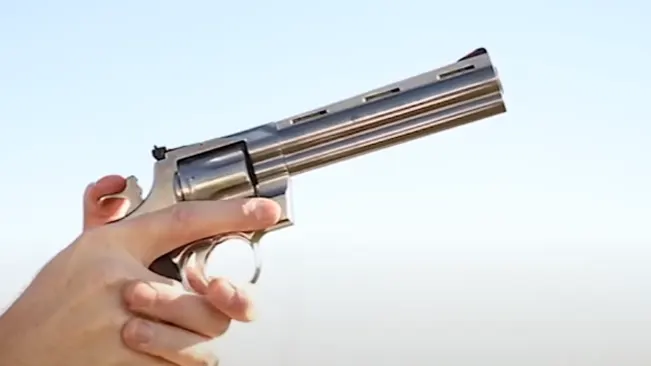 An image of Colt Python action