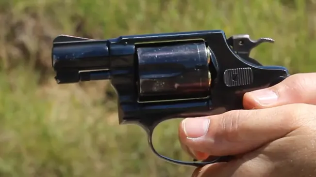 Hand holding a S&W Model 49 Bodyguard revolver against a natural outdoor background.