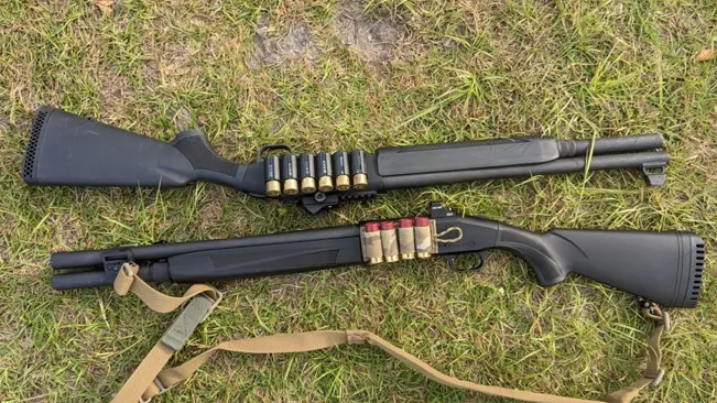 Two Mossberg 930 shotguns with attached ammunition carriers lying on grass