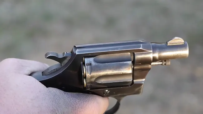 A person's hand holding a Colt Detective Special revolver against a natural background.