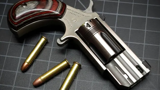 North American Arms Pug 22 revolver with wooden grip and ammunition on a grid background.