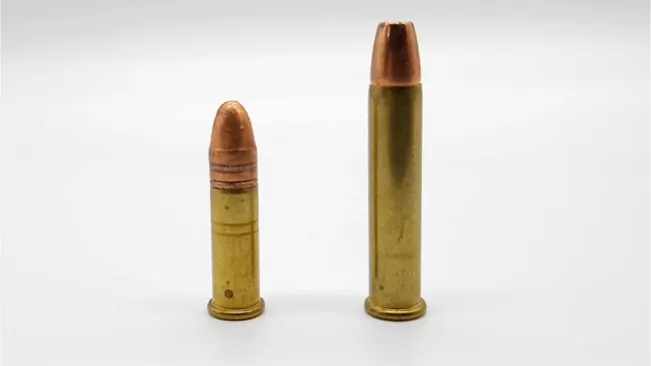 Two bullets of different sizes with brass casings on a white background.



