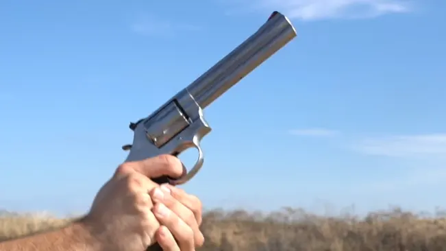 Hand holding a Smith & Wesson 686 revolver pointed upwards against a clear blue sky.