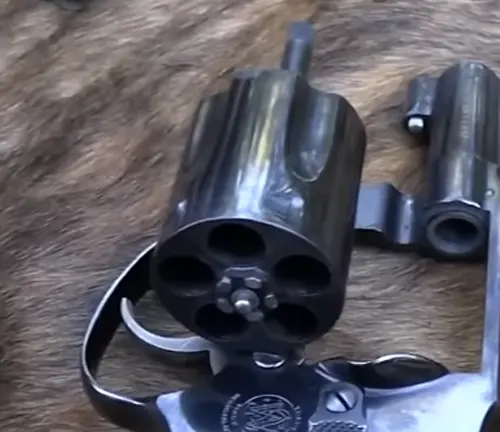 Close-up of the cylinder and barrel of a S&W Model 49 Bodyguard revolver on a fur background.