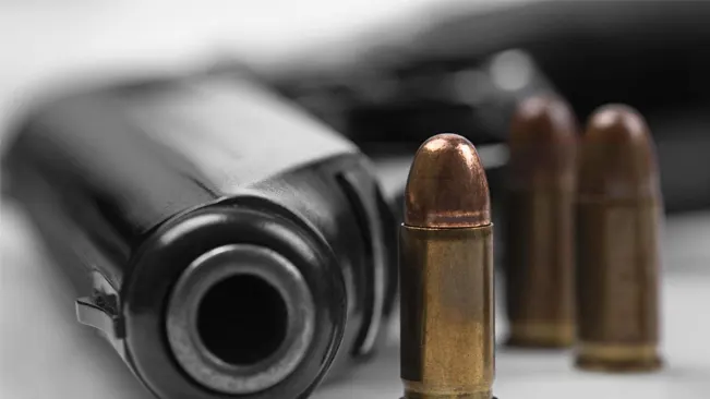 an image of a gun and caliber