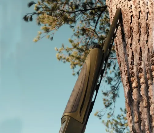 Shotgun with green stock leaning against a tree trunk outdoors.