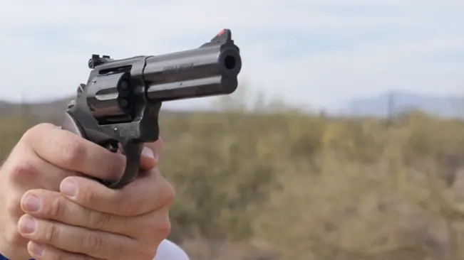 Hand holding a Smith & Wesson Model 586 revolver aimed upwards with a desert landscape in the background.