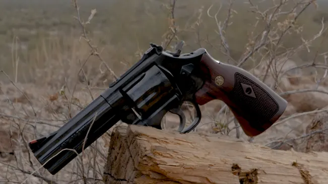 Smith & Wesson Model 586 revolver with wooden handle resting on a log in a natural setting.