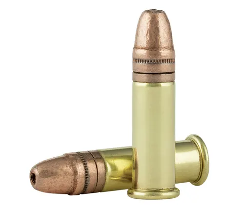 Two .22 caliber cartridges with copper bullets, positioned upright against a white background.