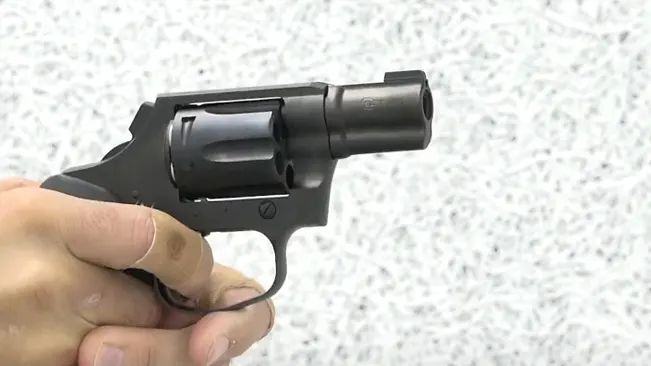 Hand holding a Colt Night Cobra revolver, showcasing the barrel and front sight.